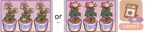 我的休闲时光花架整理固定搭配方案 我的休闲时光花架整理固定搭配方案