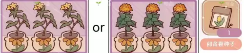 我的休闲时光花架整理固定搭配方案 我的休闲时光花架整理固定搭配方案