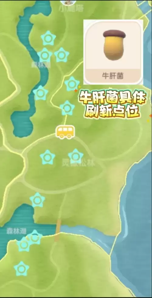 心动小镇蘑菇位置在哪-五种蘑菇位置大全 心动小镇蘑菇位置在哪-五种蘑菇位置大全