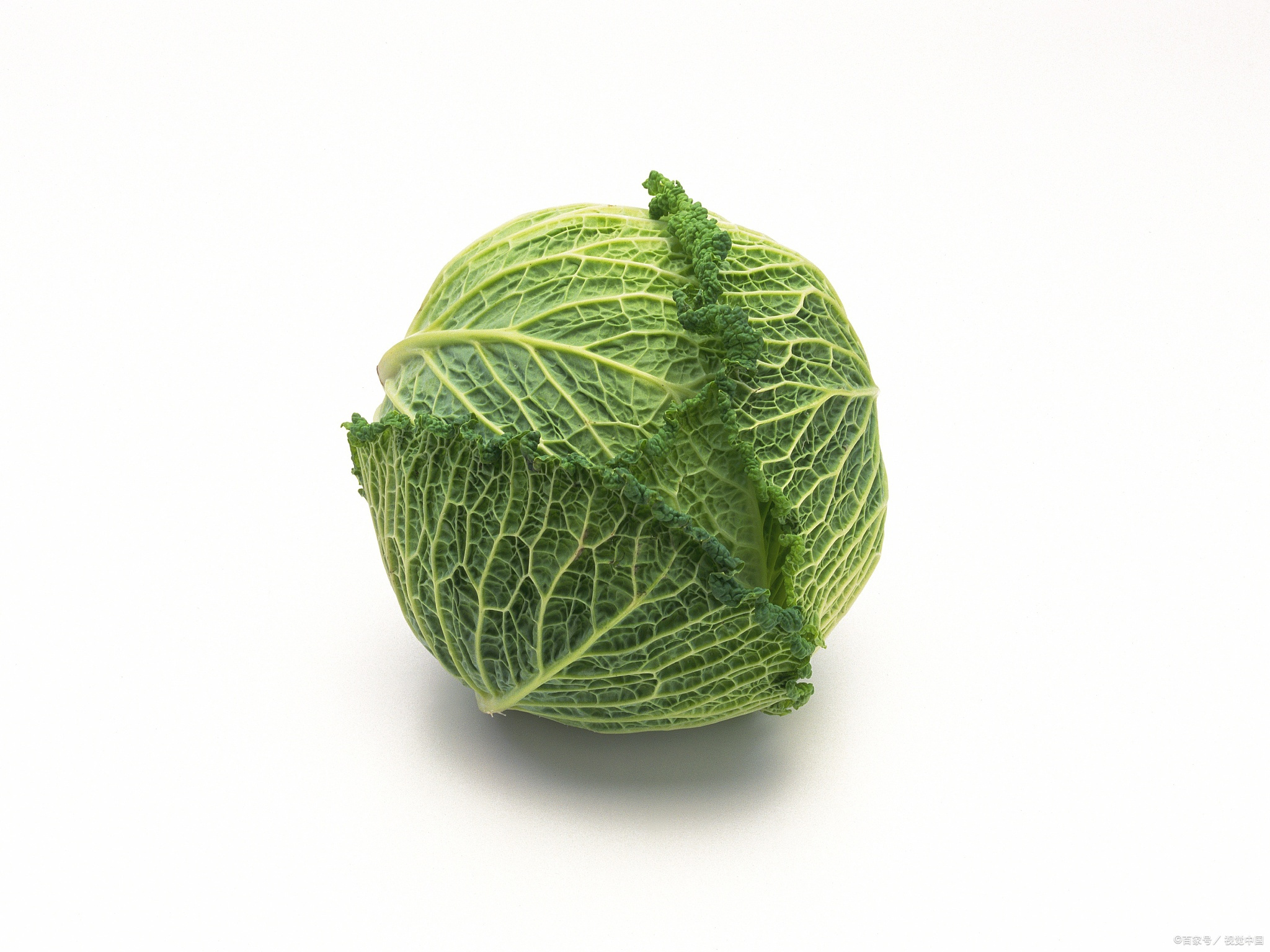 img_6a755e48e3bb431.png
