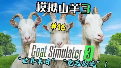 img_6a76d2bc2db7d30.webp