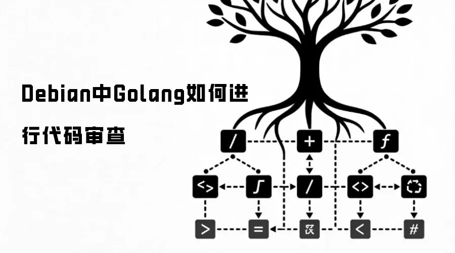 Debian中Golang如何进行代码审查