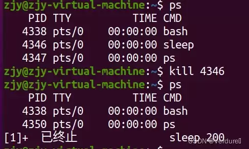 Linux进程/用户管理命令使用指南