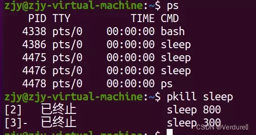 Linux进程/用户管理命令使用指南