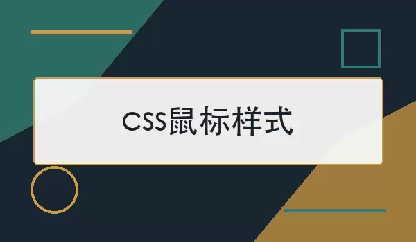 img_6a7ed97cc8e6a30.webp