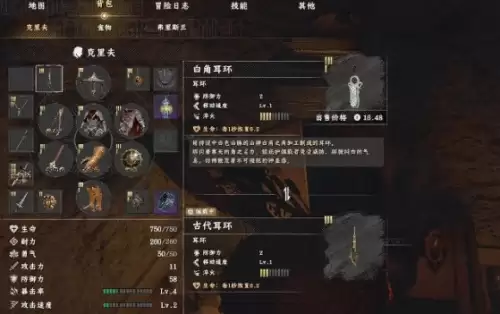 红色沙漠白角耳环5