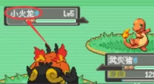 宝可梦漆黑的魅影小火龙抓捕地点介绍3 宝可梦漆黑的魅影小火龙抓捕地点介绍3
