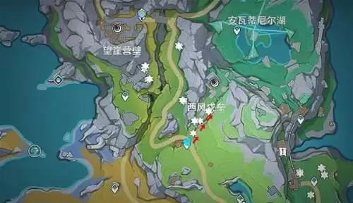 原神松珀香采集路线-松珀香分布图一览 原神松珀香采集路线-松珀香分布图一览