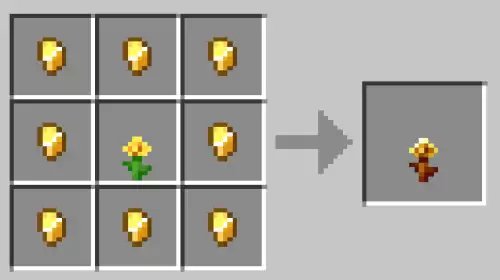 金蒲公英 金蒲公英