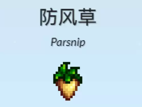 防风草 防风草