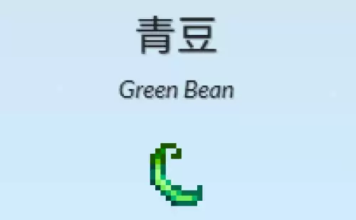 四季豆 四季豆