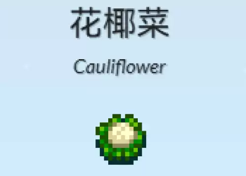 花椰菜 花椰菜