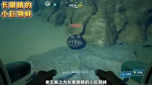 深海迷航2彩蛋在哪里-三个彩蛋具体位置说明