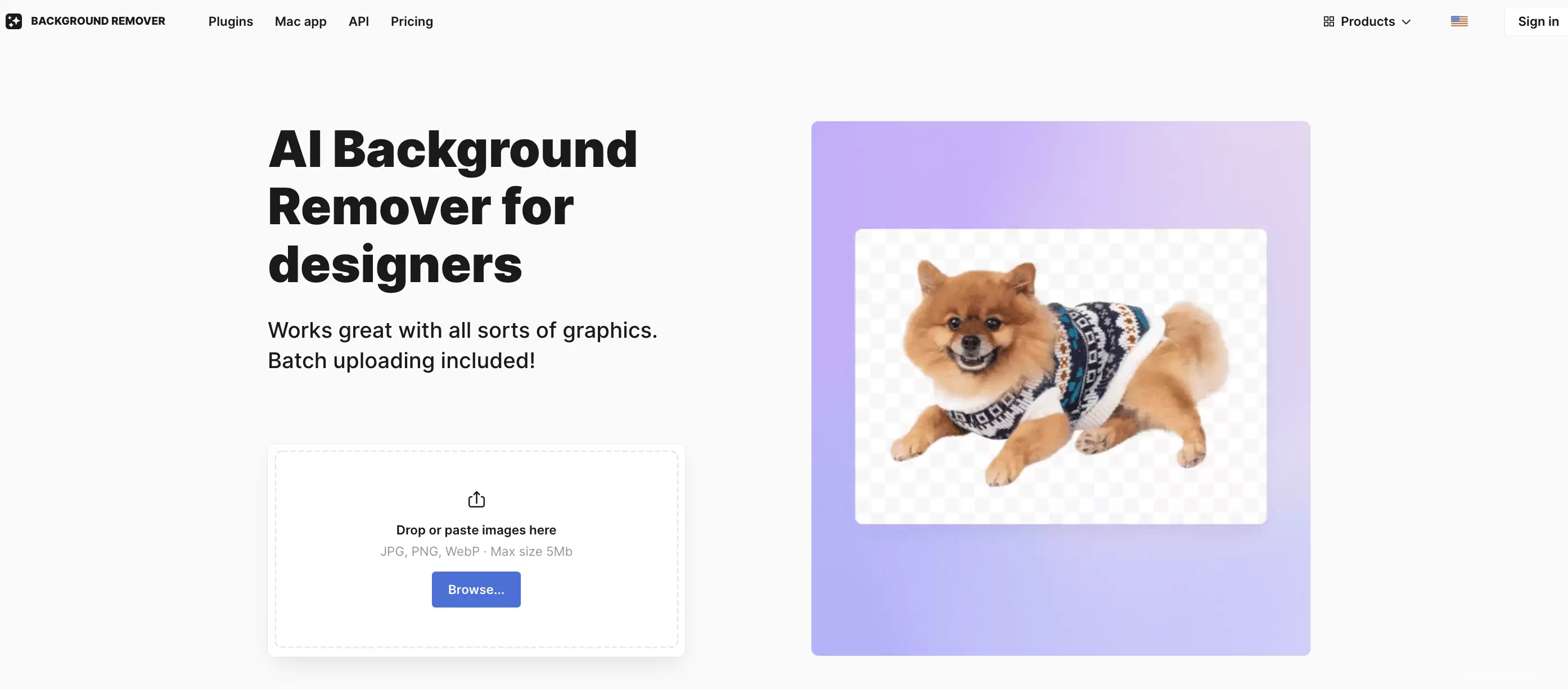 Background Remover-Background Remover,Icons8出品的ai人工智能一键背景去除工具