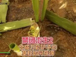 禁闭求生2草籽怎么获取