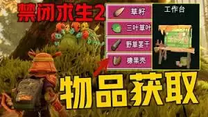 禁闭求生2草籽怎么获取