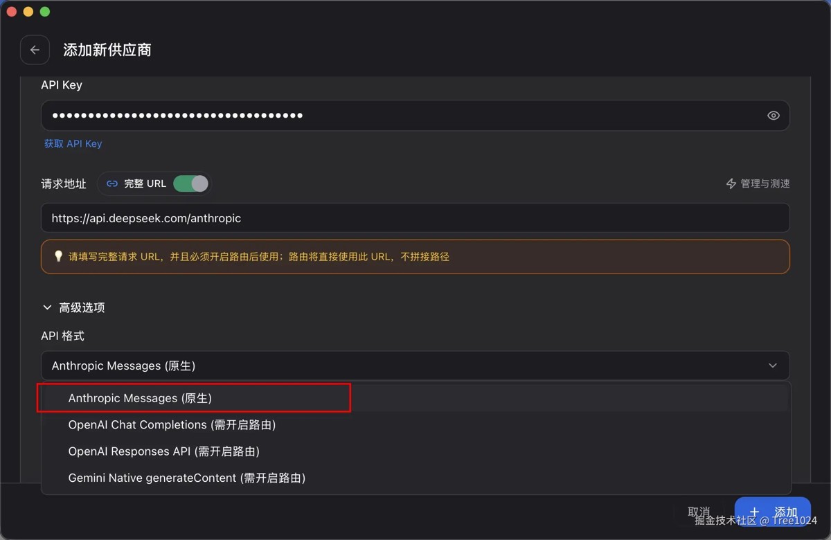 第五步：高级选项中选择 Anthropic Message（原生）