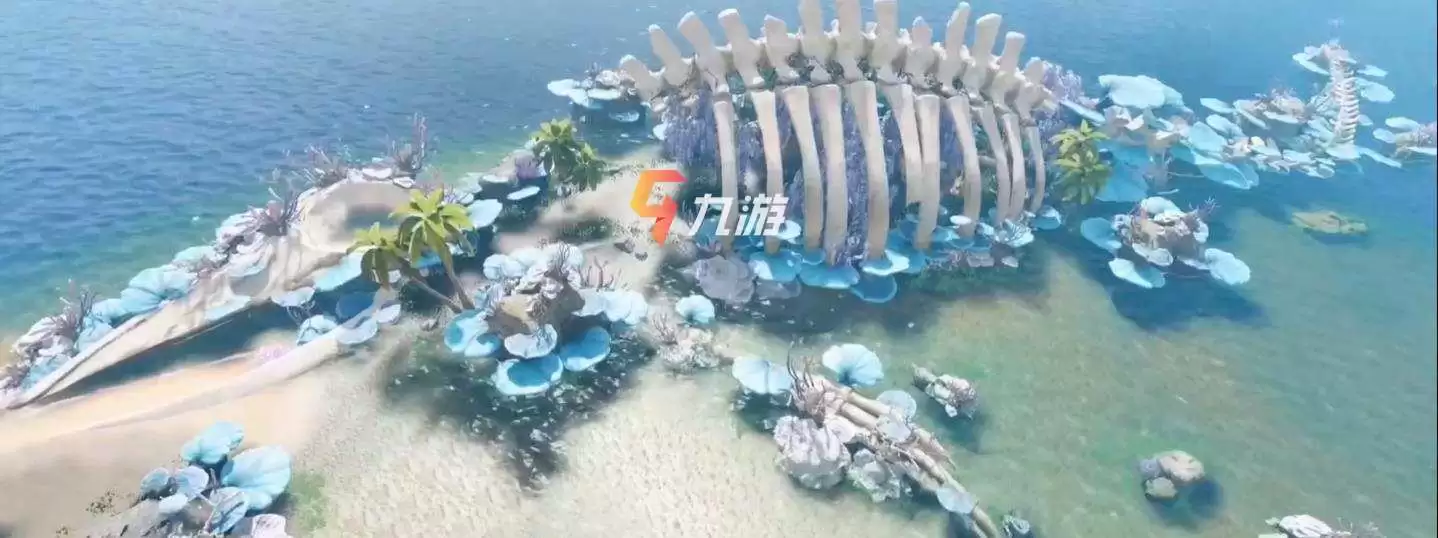 附件1626406755.jpg