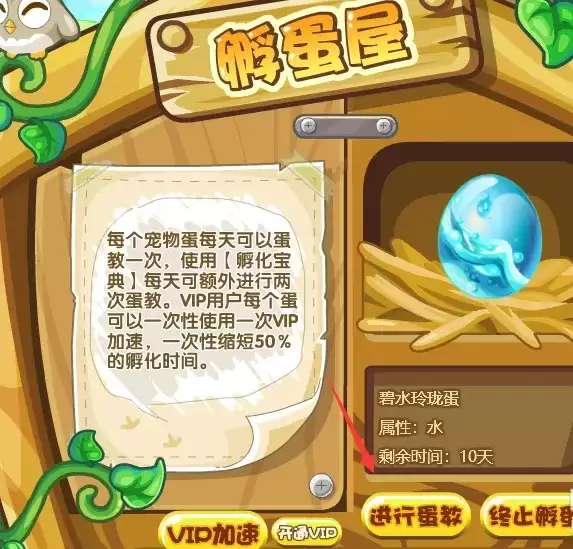 洛克王国在哪里孵化宠物蛋