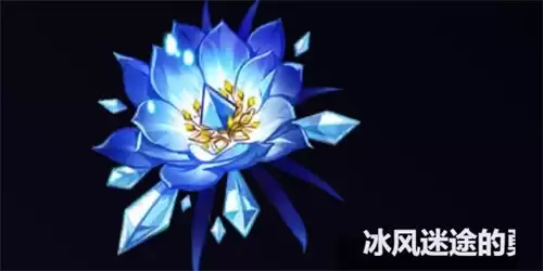 img_6a8fe98a7920b31.webp