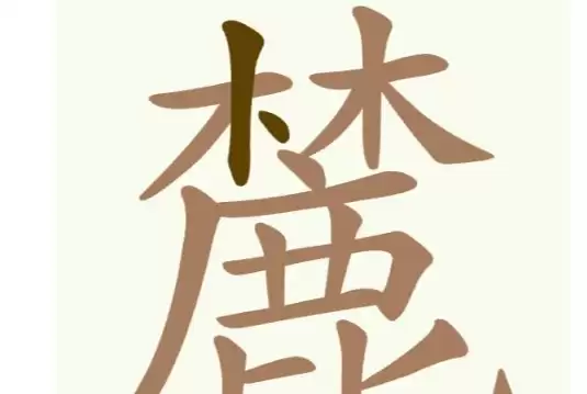 img_6a900b0d8e4f531.webp