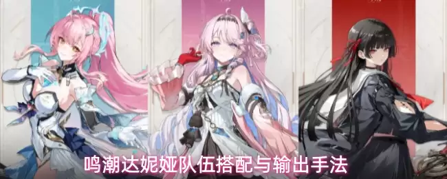 鸣潮达妮娅队伍搭配与输出手法