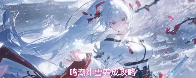 鸣潮绯雪养成攻略
