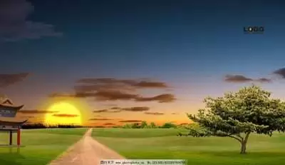 img_6a9032aa5c56230.webp