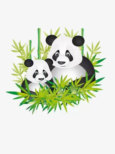 img_6a9672819a73c32.webp