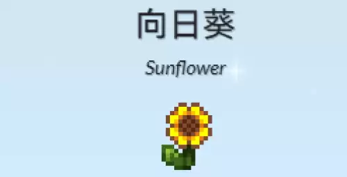 向日葵 向日葵