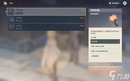 原神挪德卡莱隐藏地图成就“归乡歧旅”图文介绍攻略