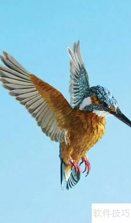 img_6a9956e6631c232.webp
