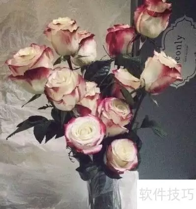 img_6a995bcfe096536.webp