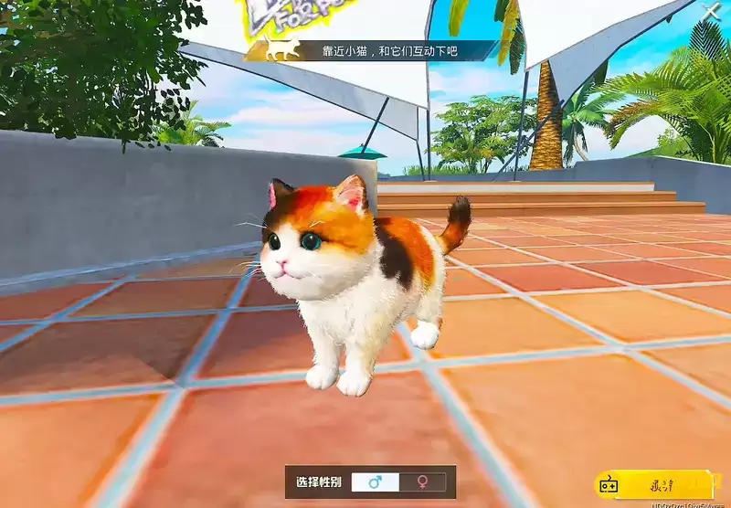 《和平精英》SS20家园猫咪获取攻略