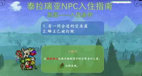 巫医 巫医