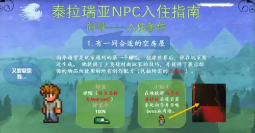 向导 向导