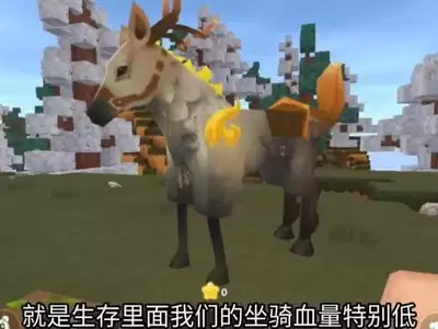 img_6a9e2bb1c576c32.webp