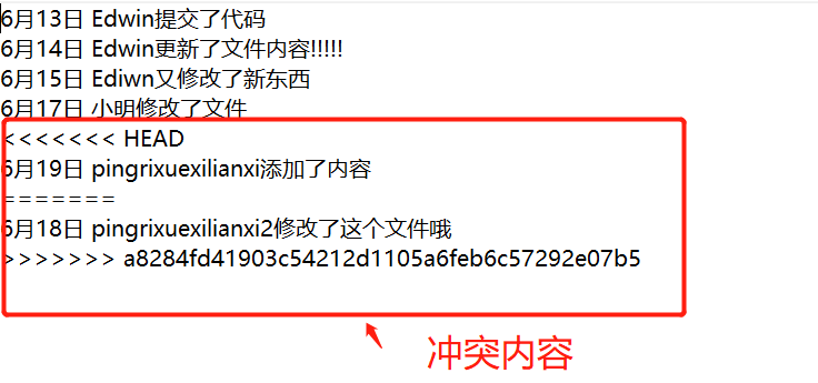 全网最全面的SourceTree使用教程详解(连接远程仓库,克隆,拉取,提交,推送,新建/切换/合并分支,冲突解决,提交PR)_推送_28