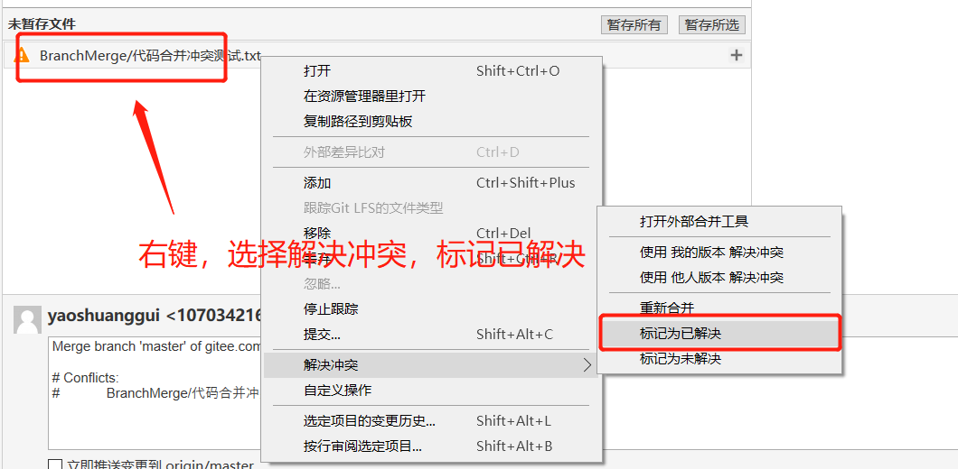 全网最全面的SourceTree使用教程详解(连接远程仓库,克隆,拉取,提交,推送,新建/切换/合并分支,冲突解决,提交PR)_代码库_29