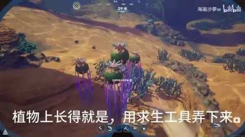 深海迷航2死腐水母包囊位置一览 深海迷航2死腐水母包囊位置一览
