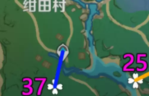 绯樱绣球位置一览