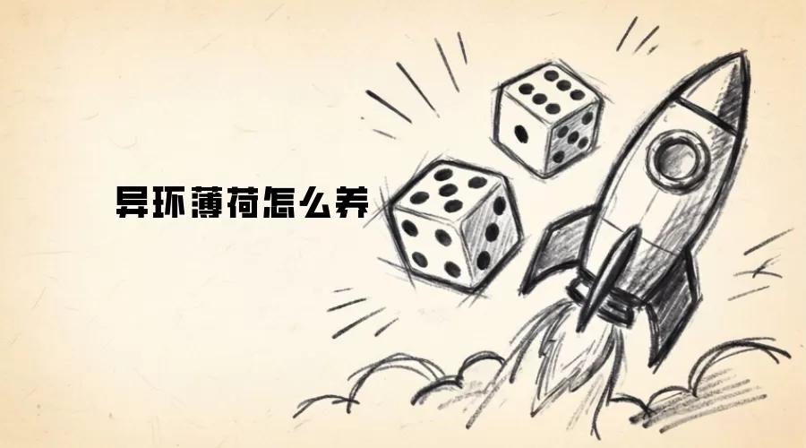 异环薄荷怎么养