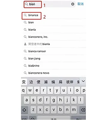 苹果手机如何安装必安APP？必安APP苹果ios手机安装教程