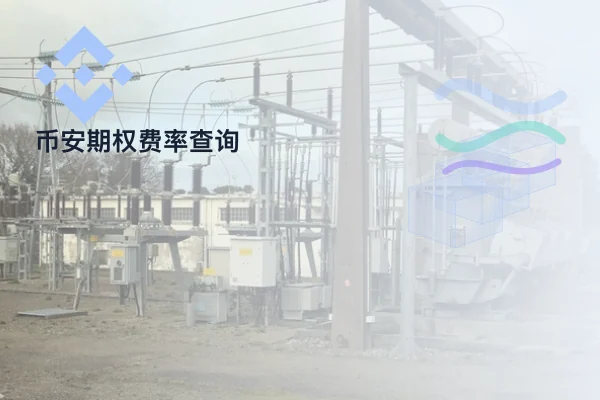 币安期权费率查询
